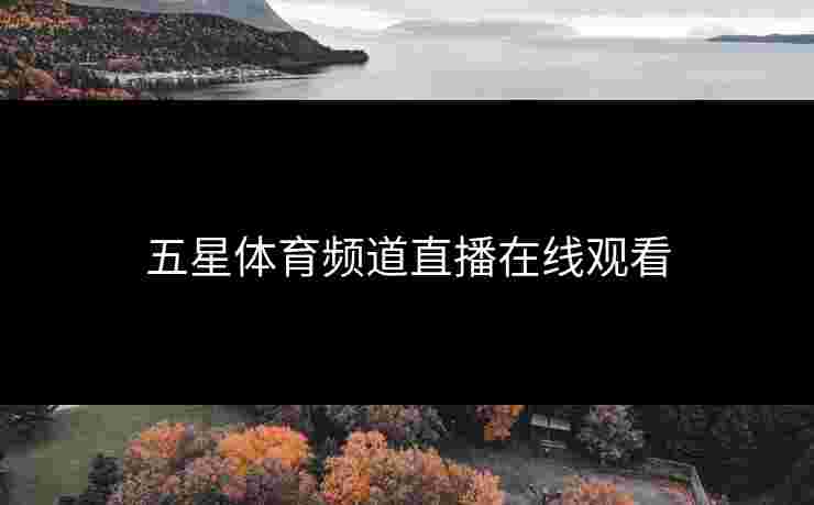 五星体育频道直播在线观看